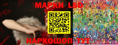 стаф Донецк