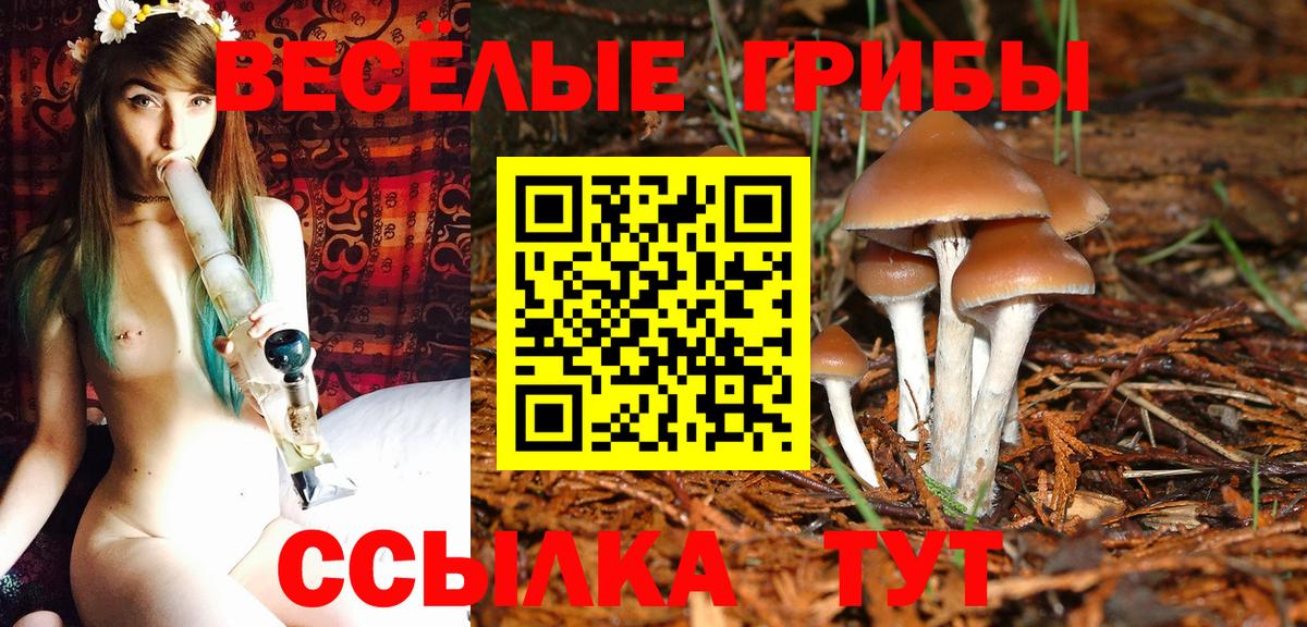 Галлюциногенные грибы мухоморы  Вход с VPN  что такое наркотик  Галлюциногенные грибы Psilocybine cubensis  Дивногорск 